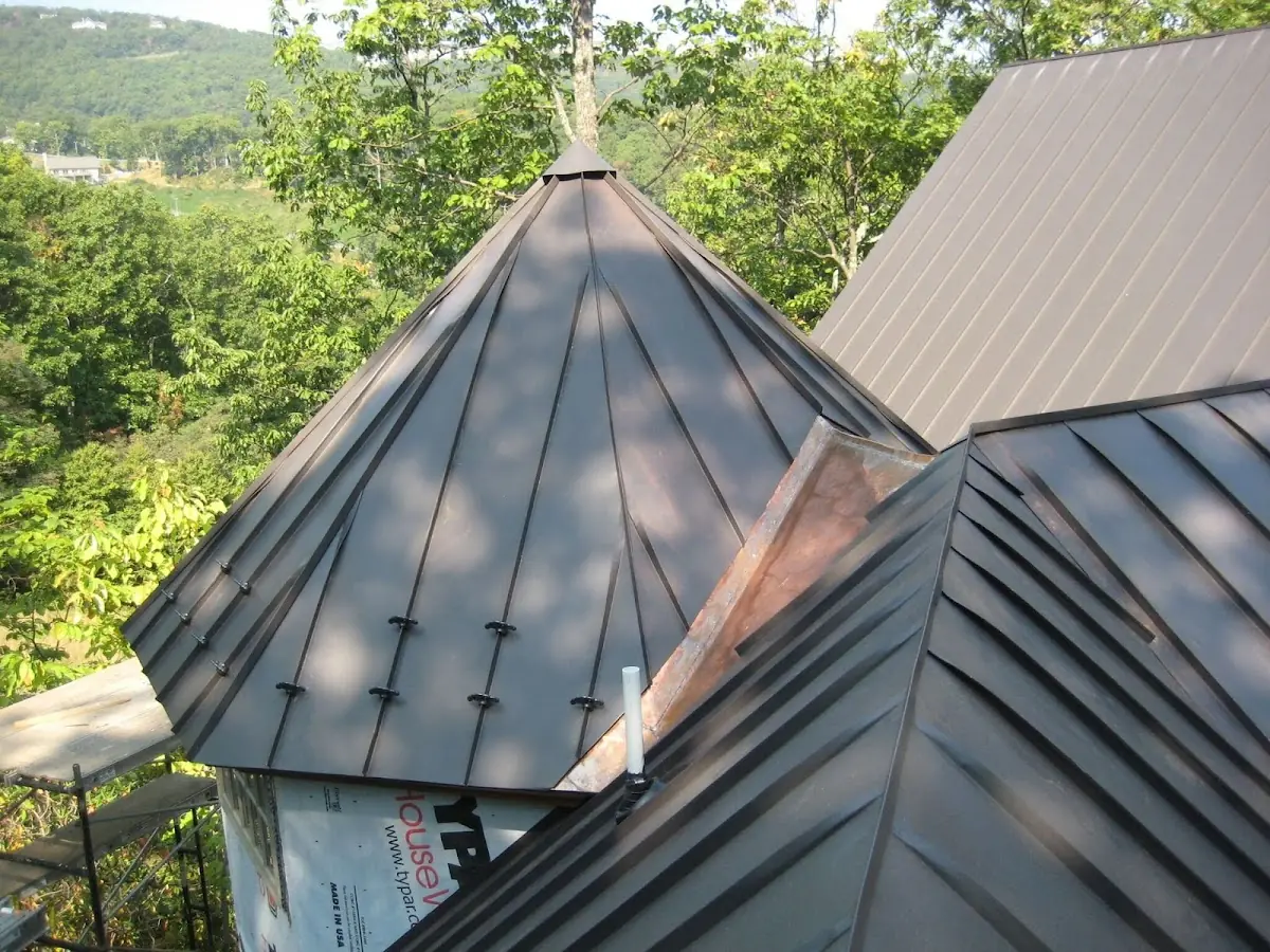 Professional Gutter Cleaning by Craftsman Roofing in Dana Point